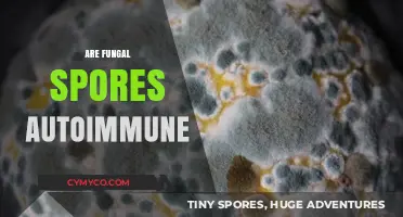 Exploring the Link Between Fungal Spores and Autoimmune Responses
