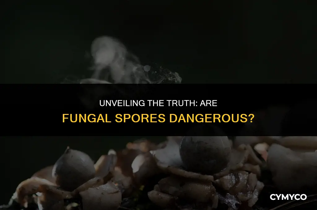 are fungal spores dangerous