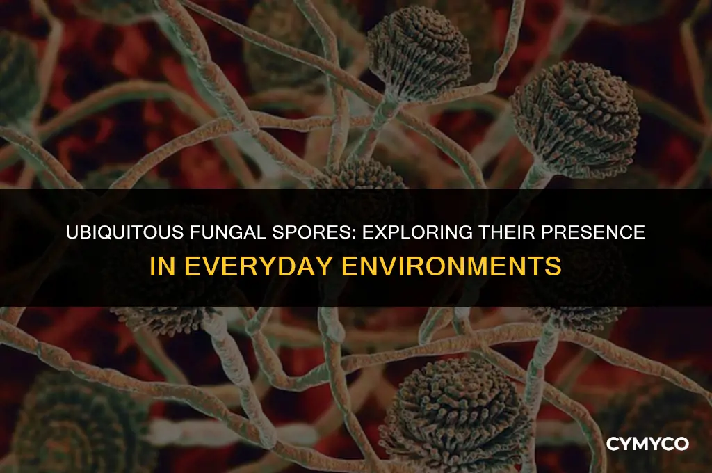 are fungal spores everywhere