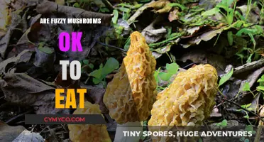 Exploring Edibility: Are Fuzzy Mushrooms Safe to Eat?