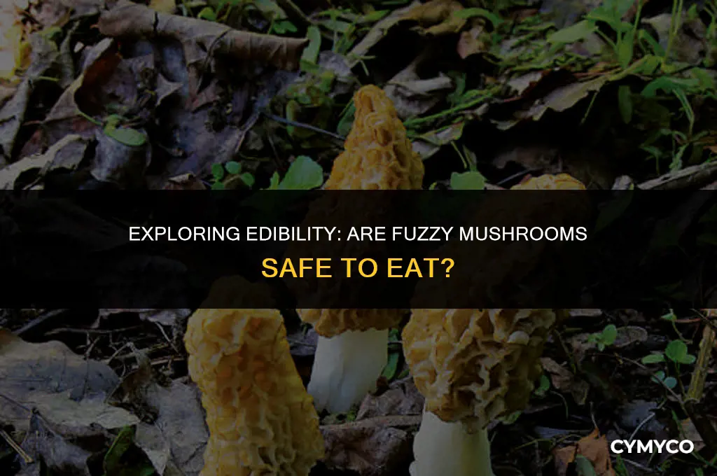 are fuzzy mushrooms ok to eat
