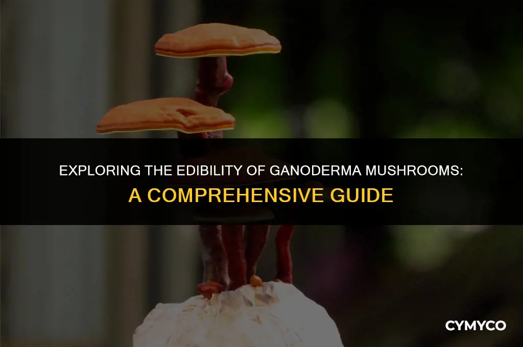 are ganoderma mushrooms edible