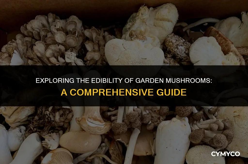 are garden mushrooms edible