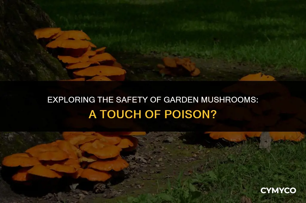 are garden mushrooms poisonous to touch
