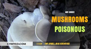 Exploring the Edibility of Ghost Mushrooms: A Comprehensive Guide