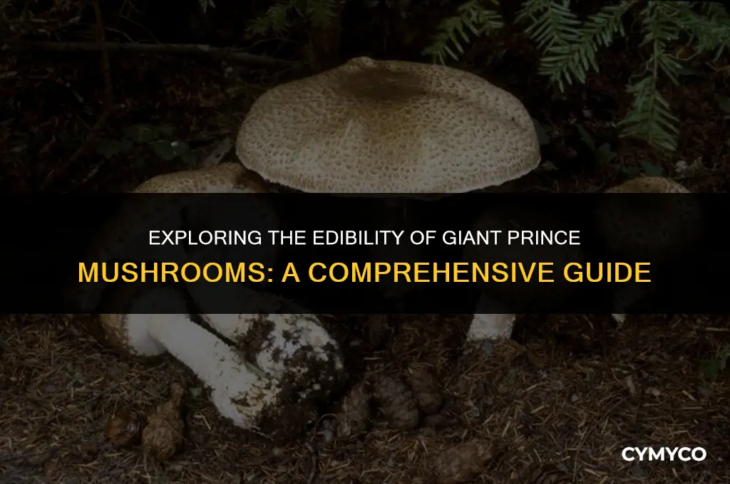 are giant prince mushrooms edible