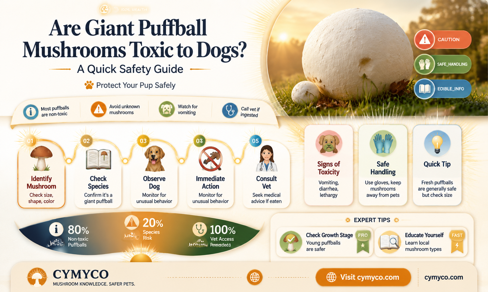 are giant puffball mushrooms poisonous to dogs