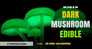 Exploring the Edibility of Glow-in-the-Dark Mushrooms: A Comprehensive Guide