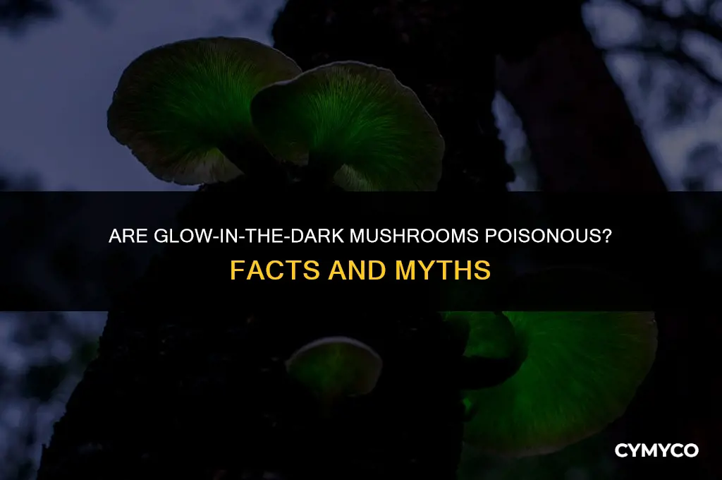 are glow in the dark mushrooms poisonous
