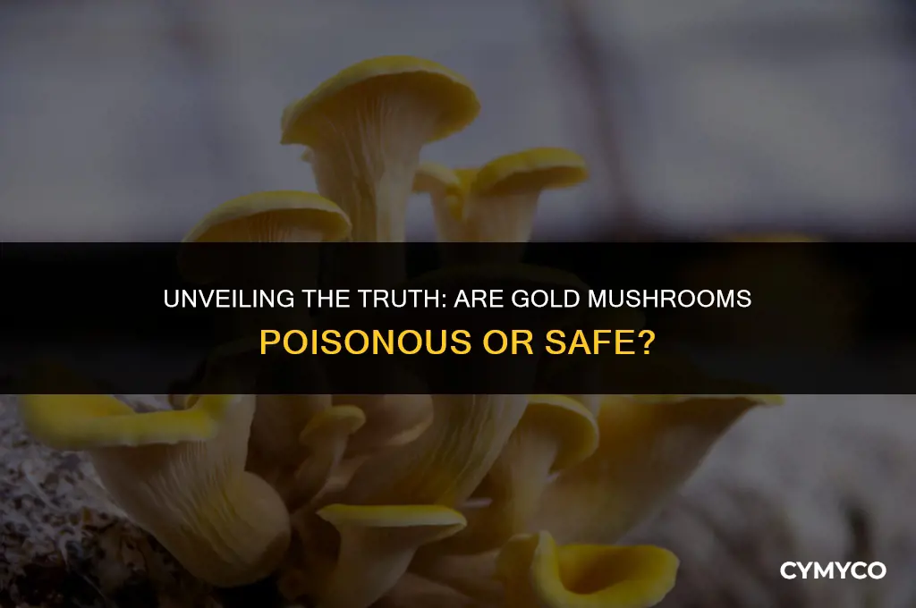 are gold mushroom poisonous