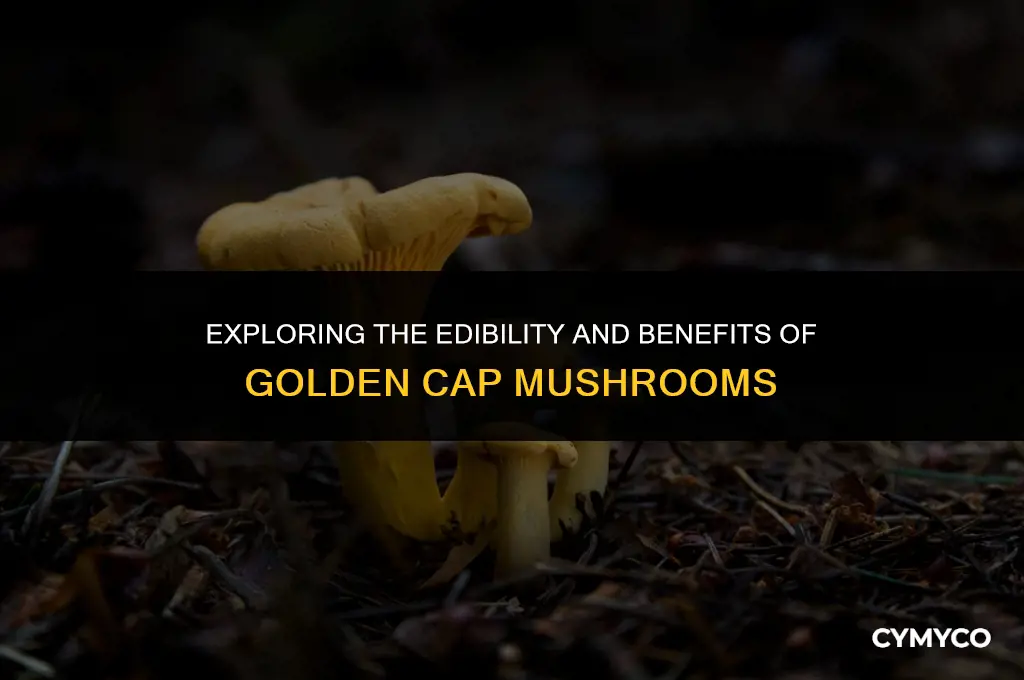 are golden cap mushrooms good