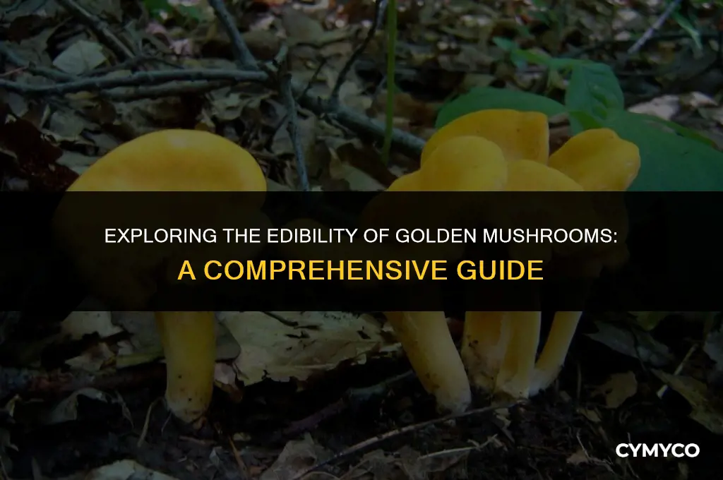 are golden mushrooms poisonous