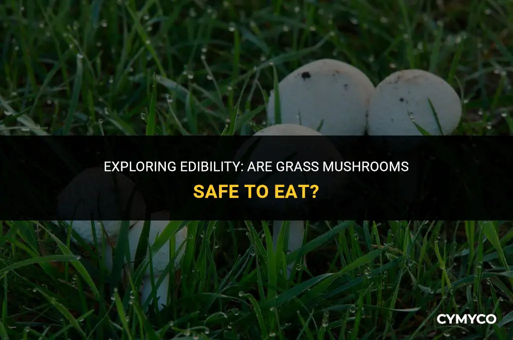 are grass mushrooms bad to eat