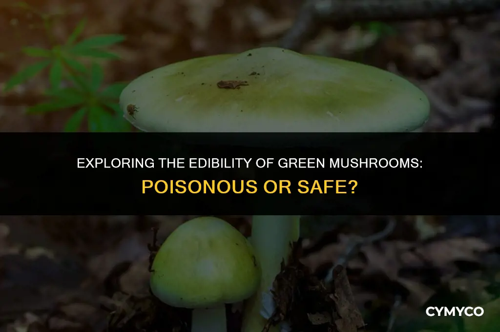 are green mushrooms poisonous