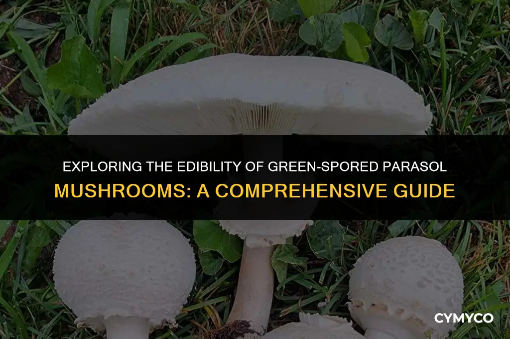 are green spored parasol mushrooms poisonous
