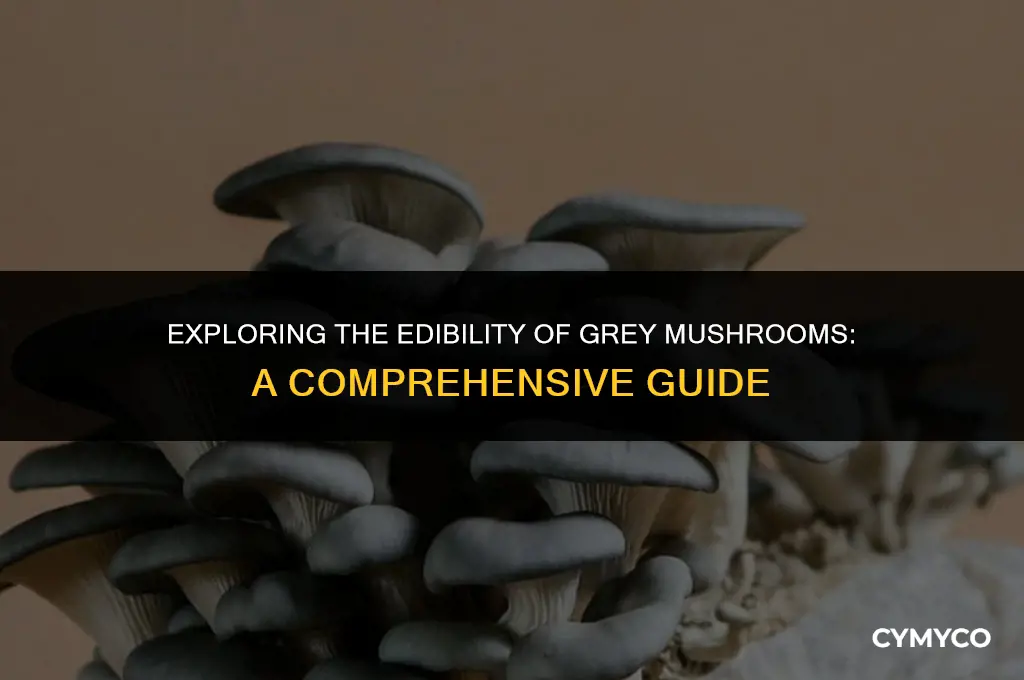 are grey mushrooms poisonous