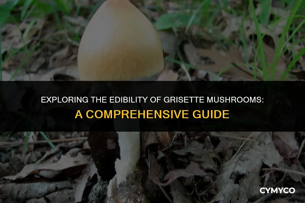 are grisette mushrooms edible
