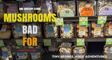 Are Grocery Store Mushrooms Bad for Your Health?