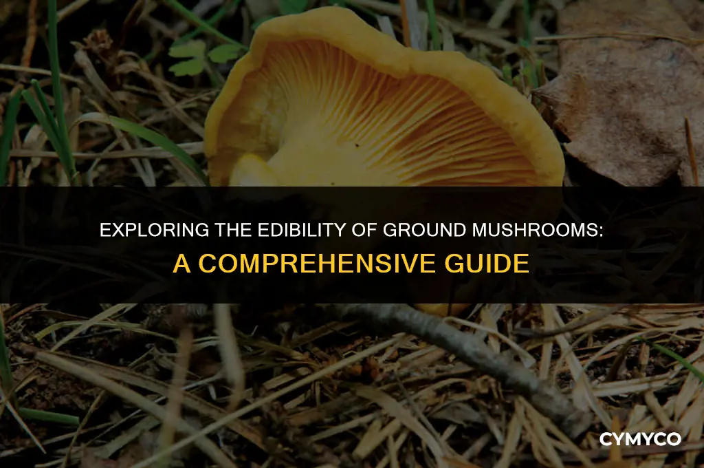 are ground mushrooms poisonous