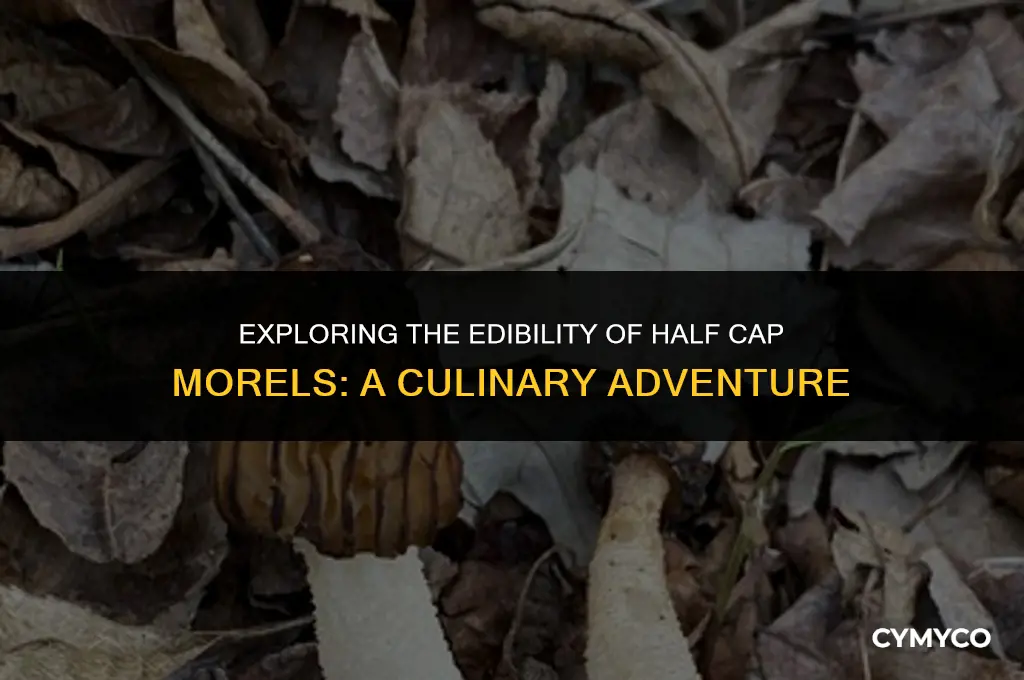 are half cap morels eidble
