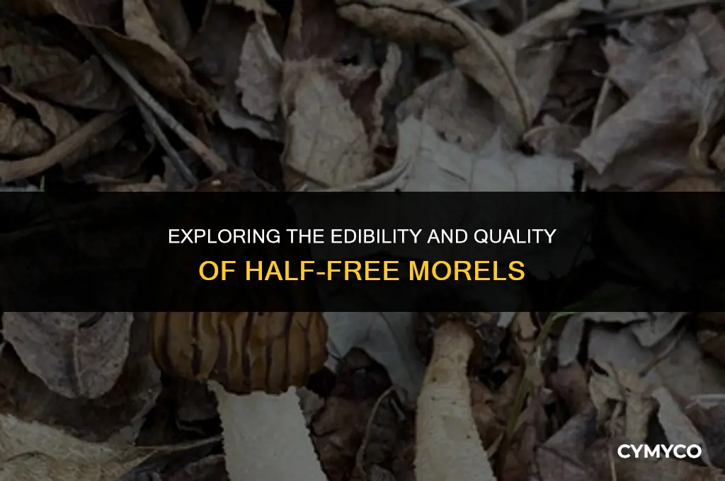 are half free morels any good to eat