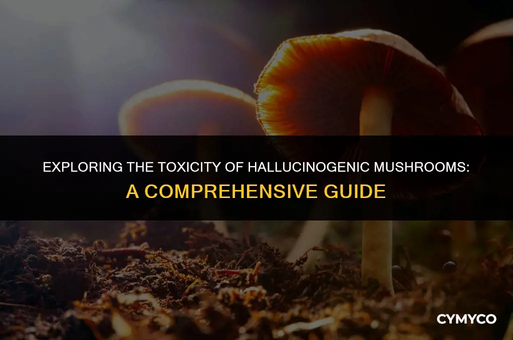 are hallucinagenic mushrooms poisonous