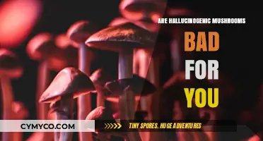Hallucinogenic Mushrooms: Uncovering Potential Risks and Health Implications