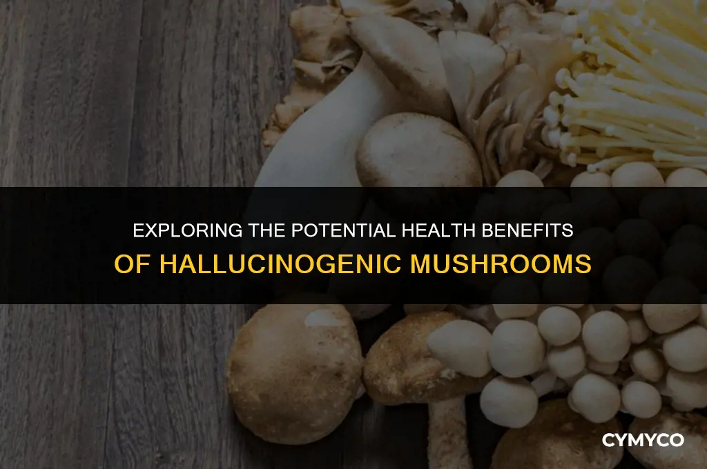 are hallucinogenic mushrooms good for you