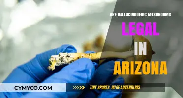 Exploring the Legal Landscape of Hallucinogenic Mushrooms in Arizona