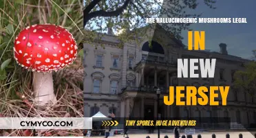 Exploring the Legal Landscape of Hallucinogenic Mushrooms in New Jersey