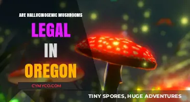 Exploring Oregon's Legal Landscape: Hallucinogenic Mushrooms Unveiled