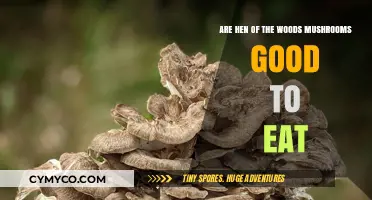 Exploring Edibility: Hen of the Woods Mushrooms - A Tasty Treat?