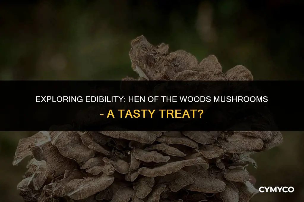 are hen of the woods mushrooms good to eat