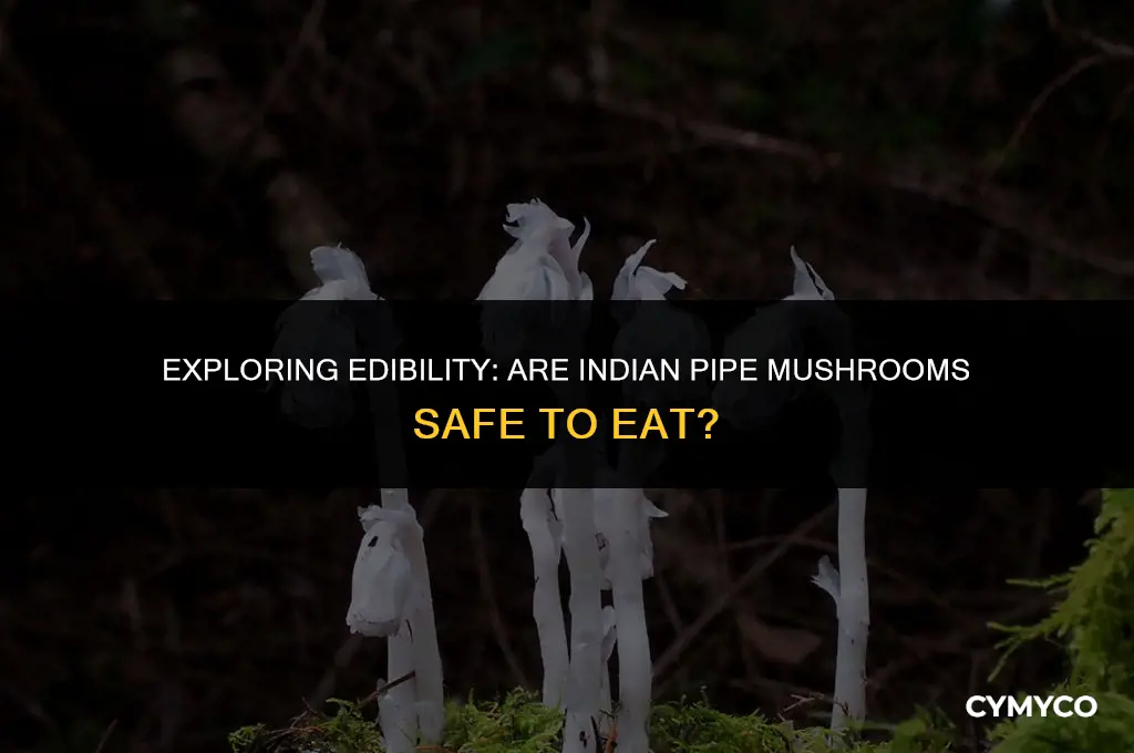are indian pipe mushrooms edible