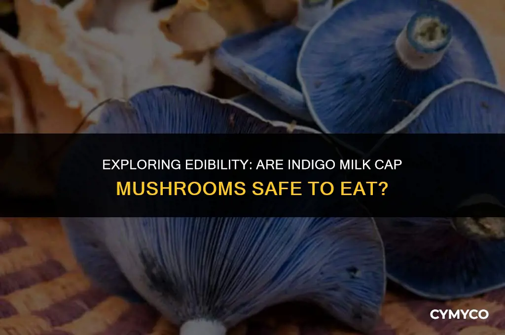 are indigo milk cap mushrooms edible