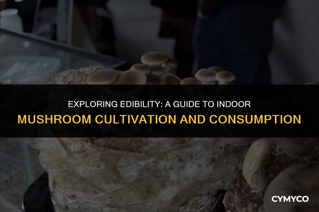 are indoor mushroom edible