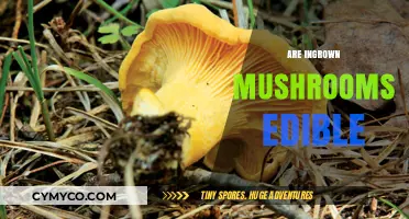 Exploring the Edibility of Ingrown Mushrooms: A Comprehensive Guide