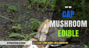Are Ink Cap Mushrooms Edible? A Guide to Safe Consumption