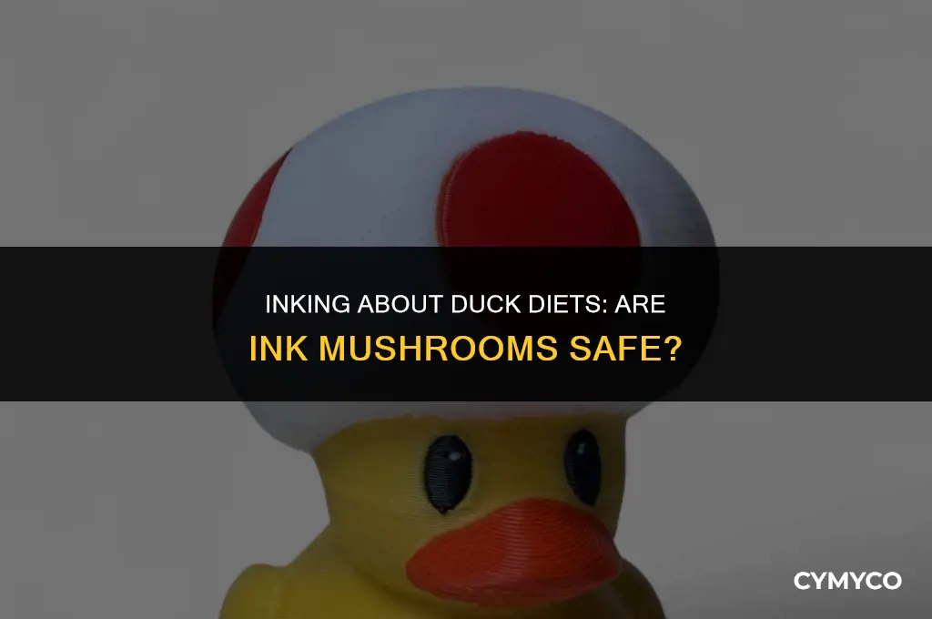 are ink mushrooms ok for my ducks to eat