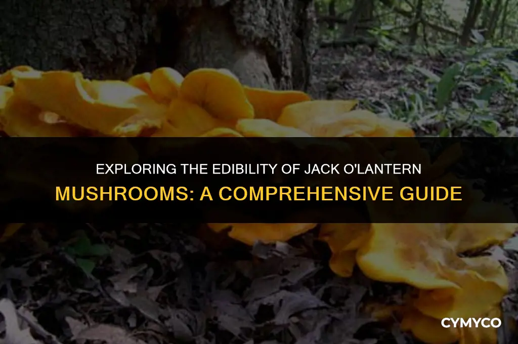 are jackolantern mushrooms edible