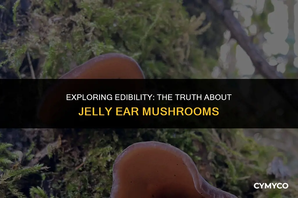 are jelly ear mushrooms edible