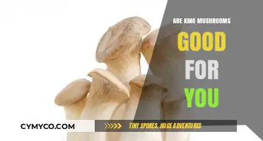 Exploring the Health Benefits of King Mushrooms: A Nutritional Guide