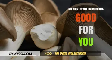Exploring the Health Benefits of King Trumpet Mushrooms