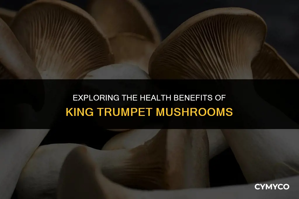 are king trumpet mushrooms good for you