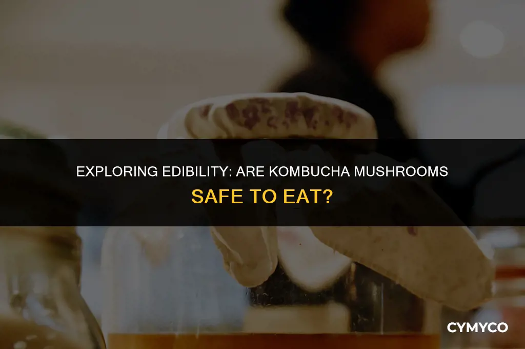 are kombucha mushrooms edible