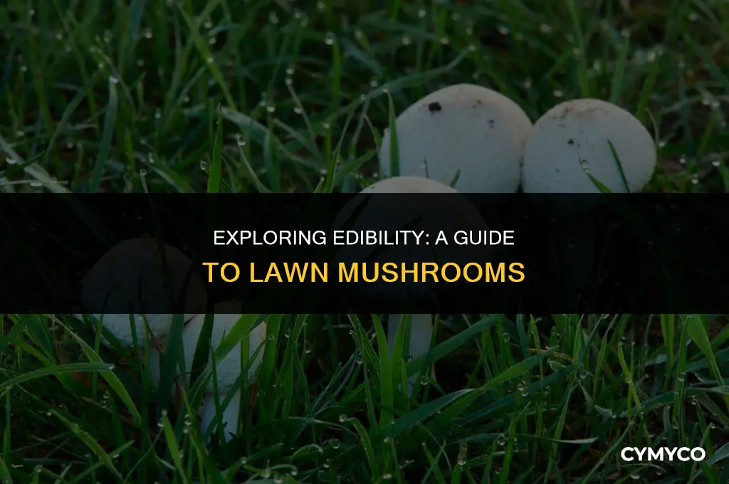 are lawn mushrooms ok to eat