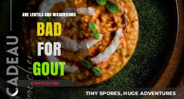 Dietary Dilemmas: Lentils and Mushrooms - Friends or Foes for Gout Sufferers?