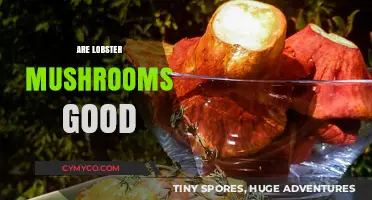Exploring the Culinary Delight of Lobster Mushrooms: A Gourmet's Guide
