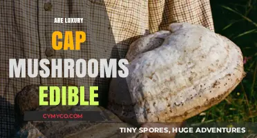 Exploring the Edibility of Luxury Cap Mushrooms: A Gourmet's Guide