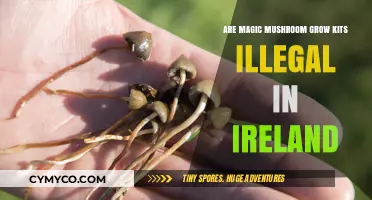 Exploring the Legal Landscape of Magic Mushroom Grow Kits in Ireland